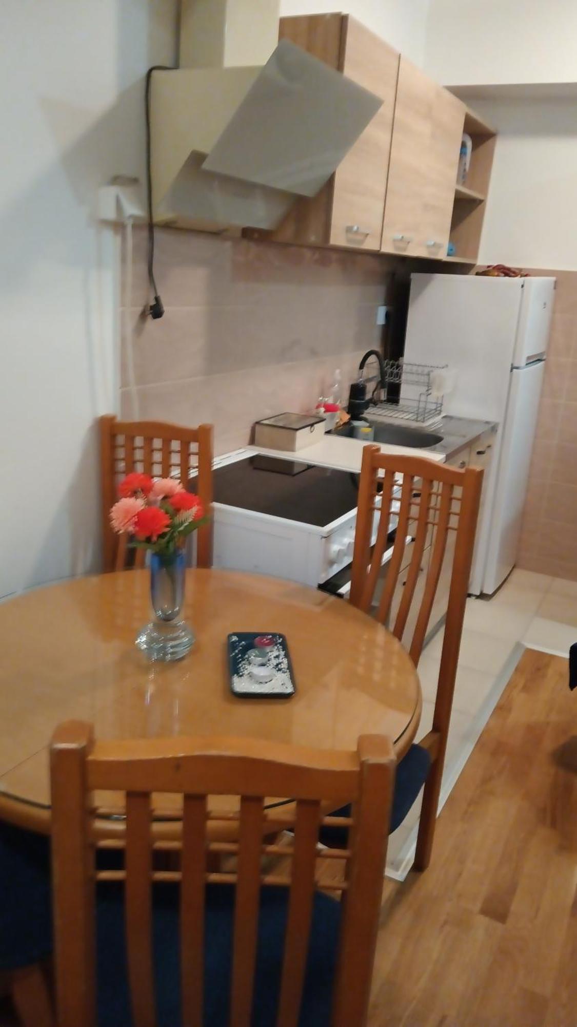 Luxury Apartment Nefertiti 斯科普里 外观 照片